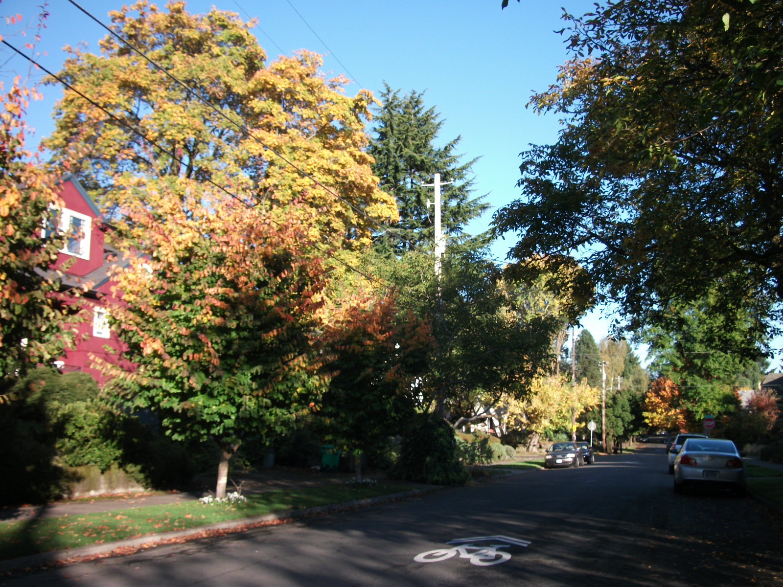 alphabet district portland